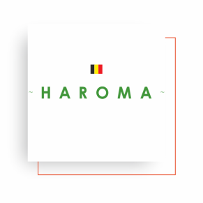 COPILOT + HAROMA LOGO