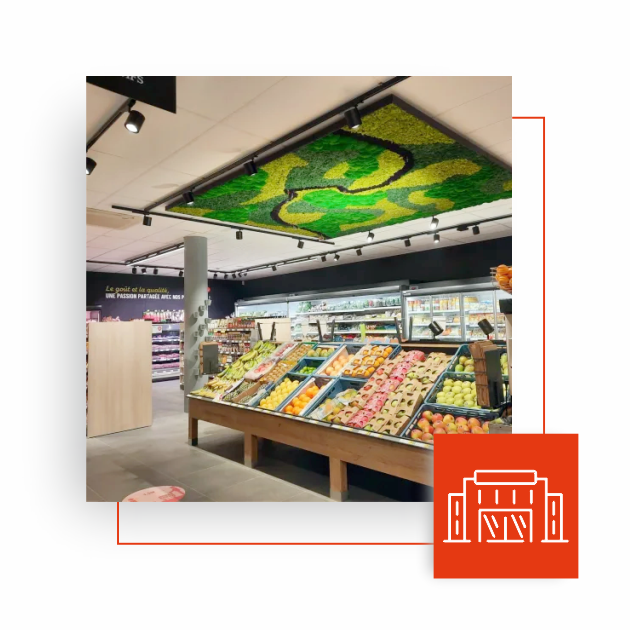 COPILOT + PROXY DELHAIZE VIGNETTE